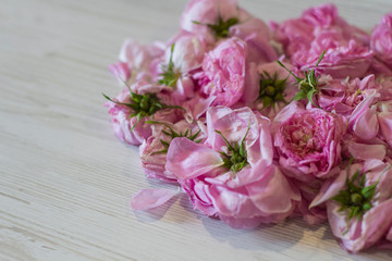 dry tea rose pink flowers on wooden