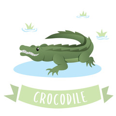 Crocodile cartoon vector illustration