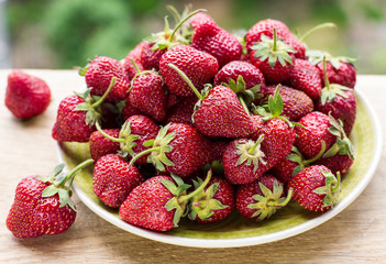 strawberries in plate on natural background