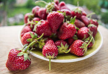 strawberries in plate on natural background