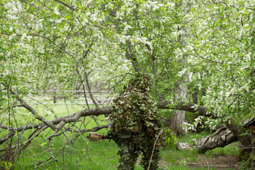 Camouflaged sniper in the forest