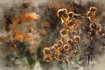 Watercolor painting of Layers of fog over Autumn agricultural landscape