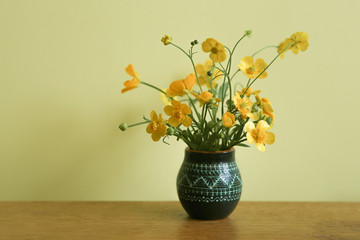 Wild yellow flowers, meadow buttercup, in small vase. Bouquet of fresh wild flowers, Ranunculus acris, indoor. 