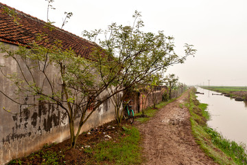 View of paddy field area in the northern part of Vietnam