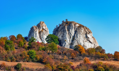 Fototapeta na wymiar Autumn Mountain Top Landscape Colors in nature