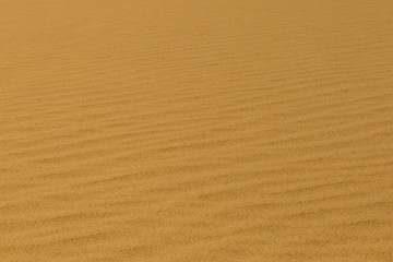 Fototapeta na wymiar close-up furrows in sand of Namib desert