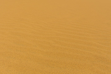 Fototapeta na wymiar close-up sand texture of dune in Namib desert