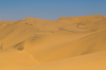 Fototapeta na wymiar sand dune landscape in Namib desert