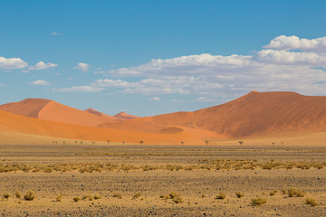 Fototapeta na wymiar sand dunes in Namib desert, blue sky, clouds