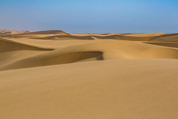 Fototapeta na wymiar large structured sand dunes in Namib desert, blue sky