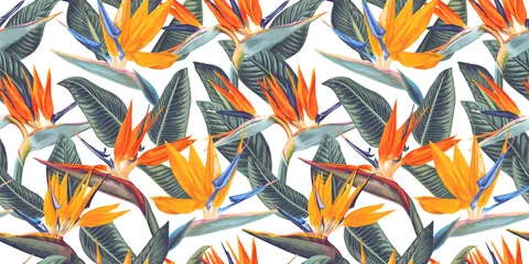 Tapeten ,Nahtloses Muster mit tropischen Blumen und Blättern von Strelitzia, genannt Kranichblume oder Paradiesvogel. Realistischer Stil, handgezeichnet, Vektor. Hintergrund für Drucke, Stoffe, Tapeten, Packpapier © MPetrovskaya