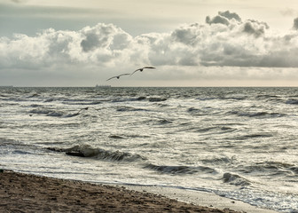  sea, seagulls, sky, flight, beauty