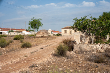 Spanish Farm