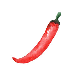 watercolor illustration of a vegetable red chili pepper on a white background drawn by hand