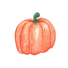 watercolor illustration of a vegetable pumpkin orange on a white background drawn by hand