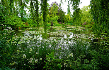 Lake in Giverny, France