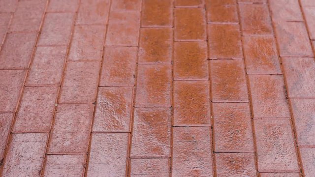 brick pavement wet    texture background