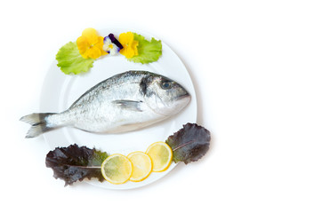 One raw fresh dorado fish in a plate is decorated before cooking.