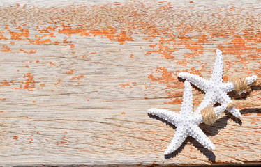 starfish on the beach