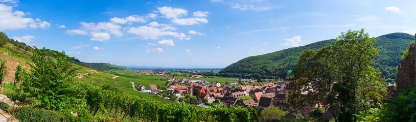 Fototapeta na wymiar Panoramablick auf Kaysersberg im Elsass/Frankreich