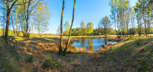Idyllic panoramic view with a small lake in springtime, Lüneburger Heide Nature Park (Nature Reserve), Northern Germany.