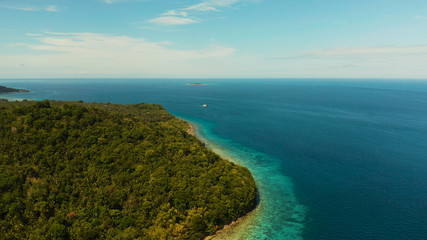 Fototapeta na wymiar Coastline with forest and palm trees, coral reef with turquoise water, aerial view. Seascape of tropical island covered with green forest against the blue sky with clouds and blue sea