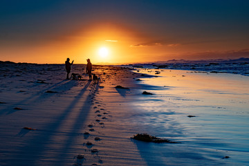 Men, Dogs and Shadows - Sunrise Seascape
