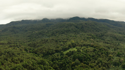 Fototapeta na wymiar Mountains covered rainforest, trees in cloudy weather, aerial view. Camiguin, Philippines. Mountain landscape on tropical island with mountain peaks covered with forest. Slopes of mountains with