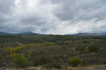 Wonderful Green Meadow In Campillejo. October 18, 2013. Campillejo, Black Town, Guadalajara, Castilla La Mancha, Spain. Rural Tourism, History.