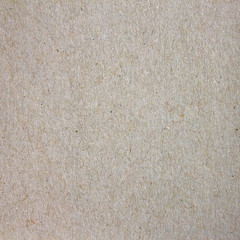 Natural cardboard with daylight texture