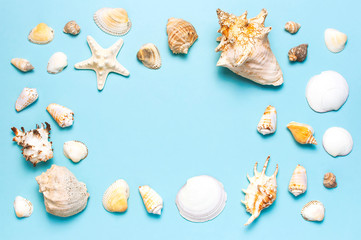 Summer concept, marine background. Frame of different seashells and starfish on pastel blue background. Top view, flat lay, copy space. Sea summer vacation background. Travel, marine souvenir