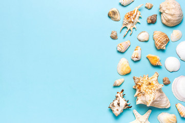 Summer concept, marine background. Different seashells and starfish on pastel blue background. Top view, flat lay, copy space. Sea summer vacation background. Travel, marine souvenir