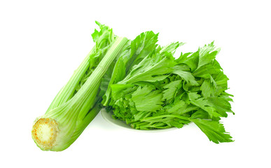 fresh celery an isolated on white background