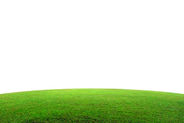 Foto op Aluminium Green grass field on mountain isolated on white background. Beautiful grassland with slope. ( Clipping path ) © Lemonsoup14