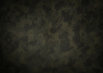Camouflage cloth texture. Abstract background and texture for design. © Cornflowerz