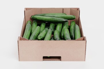 Realistic 3D Render of Cucumbers in Box