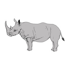 Obraz na płótnie Canvas Realistic illustration of a gray rhino on a white background
