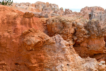 landscape on the bryce canyon in the united states of america