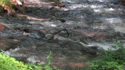 small mountain stream in the forest