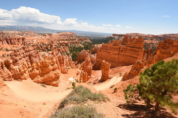 landscape on the bryce canyon in the united states of america