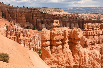 landscape on the bryce canyon in the united states of america