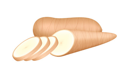 raw cassava fresh isolated on white background, cassava cut slice for tapioca flour industry or ethanol industry, pile yucca cassava tuber, raw manioc cassava in top view