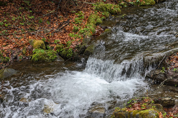 Cascades of pure mountain river among the stones