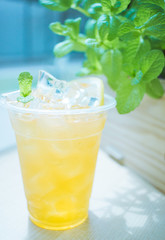 Black tea lemonade, lots of ice and a slice of lemon.In the background are green mint leaves in the sun.The drink is sweet and sour