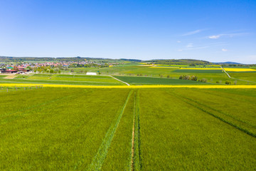 Obraz premium Aerial view, agriculture with cereal fields and rapeseed cultivation, Usingen, Schwalbach, Hochtaunuskreis, Hesse, Germany