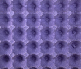 purple protective tray for raw chicken eggs with cells, full frame