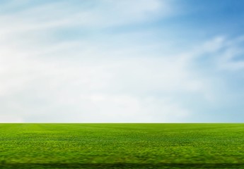 Fototapeta premium Grass.