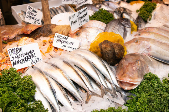 Seafood in the Borough Market, London