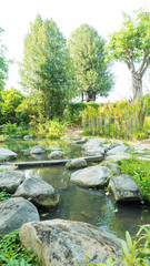 Beautiful view of river in summer thai