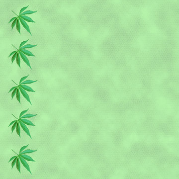 pattern of repeating photos of cannabis sheets on one side of a green background, concept of legalization of narcotic substances, square